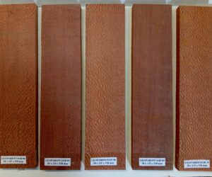 Leopardwood 30 x 135 x 550 mm